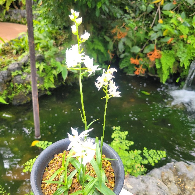 f:id:atoriatoriatori:20240828101812j:image