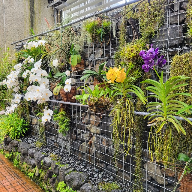 f:id:atoriatoriatori:20240828102923j:image