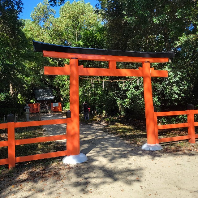 f:id:atoriatoriatori:20240828140132j:image
