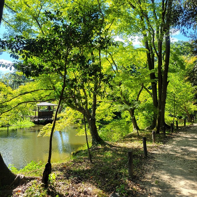 f:id:atoriatoriatori:20240828140158j:image