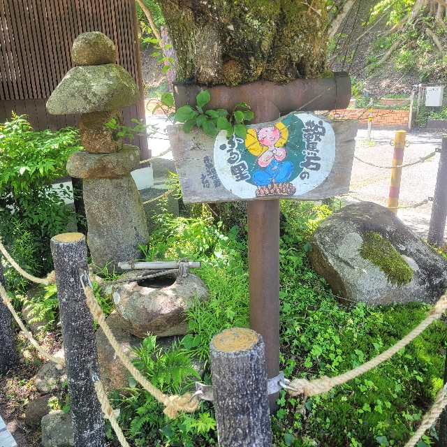 f:id:atoriatoriatori:20240831132512j:image
