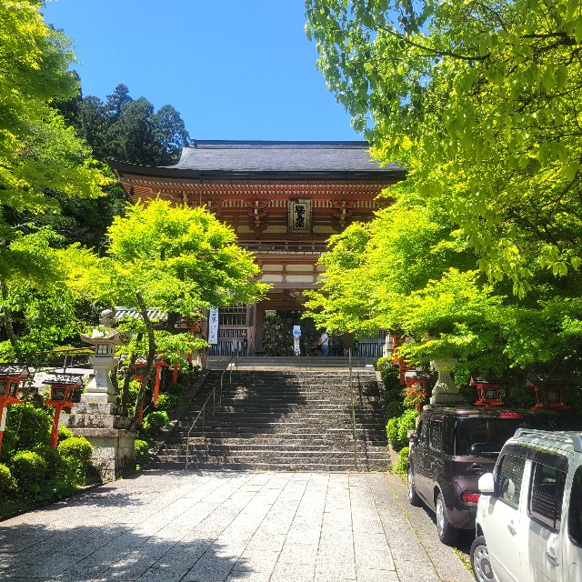 f:id:atoriatoriatori:20240831154252j:image