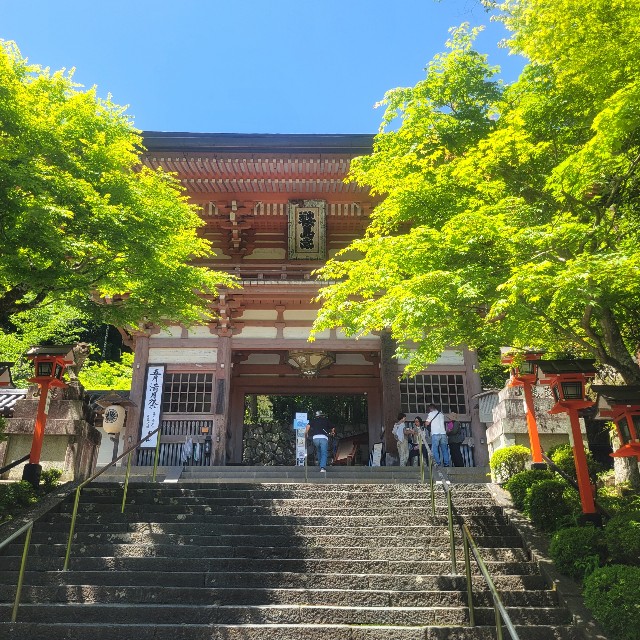 f:id:atoriatoriatori:20240831154259j:image