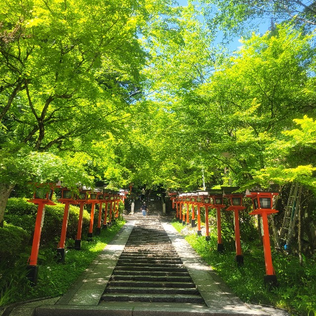 f:id:atoriatoriatori:20240831154629j:image