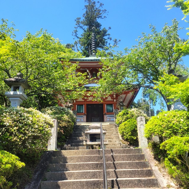 f:id:atoriatoriatori:20240831171349j:image