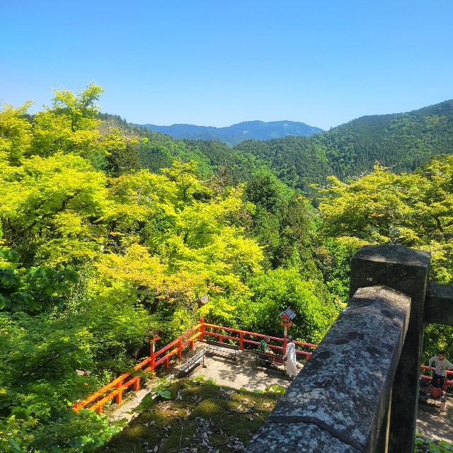 f:id:atoriatoriatori:20240831171451j:image
