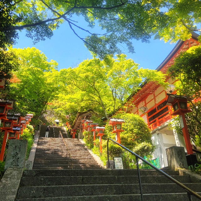 f:id:atoriatoriatori:20240831171459j:image