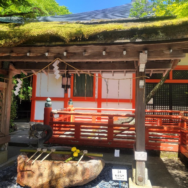 f:id:atoriatoriatori:20240831171711j:image