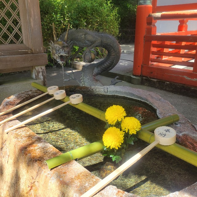 f:id:atoriatoriatori:20240831202547j:image