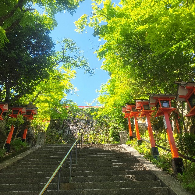 f:id:atoriatoriatori:20240831202611j:image