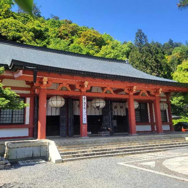 f:id:atoriatoriatori:20240831204045j:image