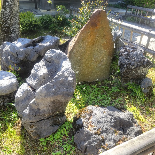 f:id:atoriatoriatori:20240903092247j:image