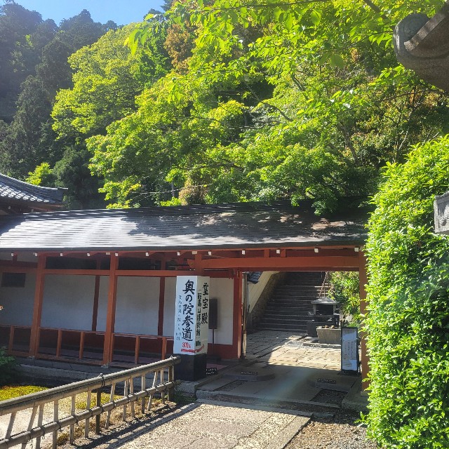 f:id:atoriatoriatori:20240903093202j:image