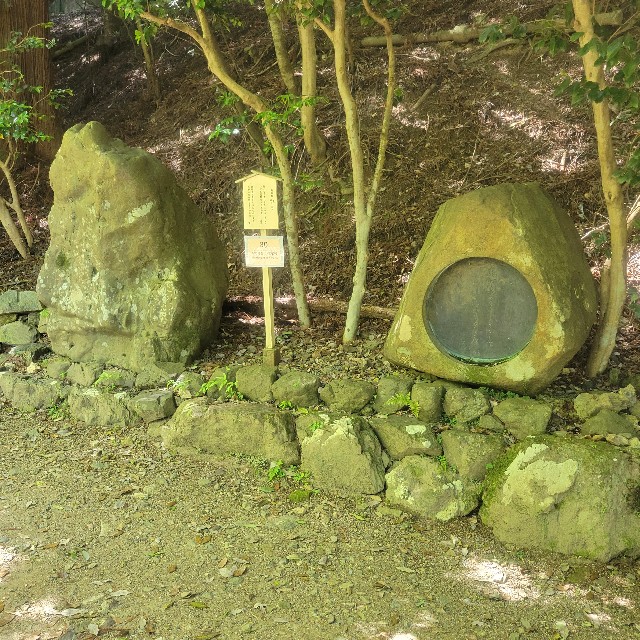 f:id:atoriatoriatori:20240903110128j:image