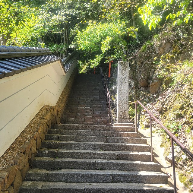 f:id:atoriatoriatori:20240903151545j:image