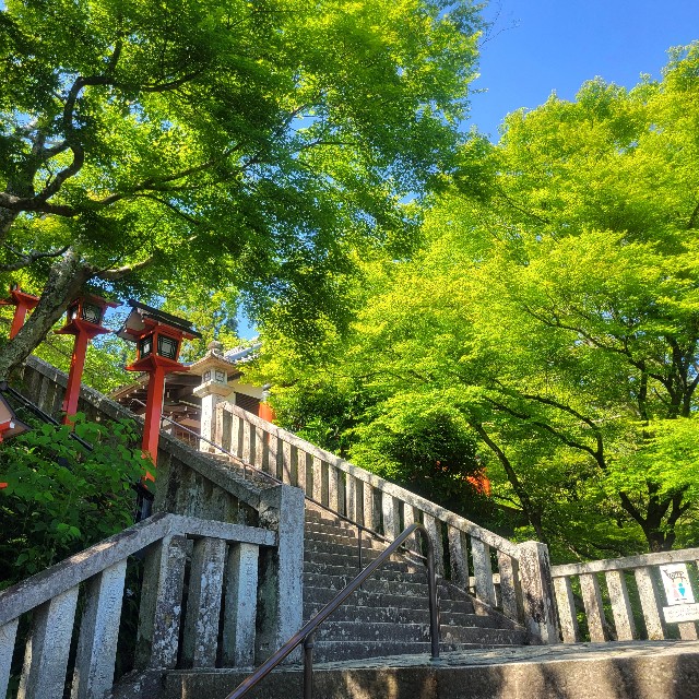 f:id:atoriatoriatori:20240903180357j:image