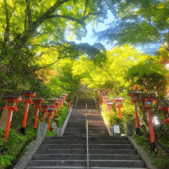 f:id:atoriatoriatori:20240903180839j:image