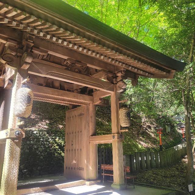 f:id:atoriatoriatori:20240903181009j:image