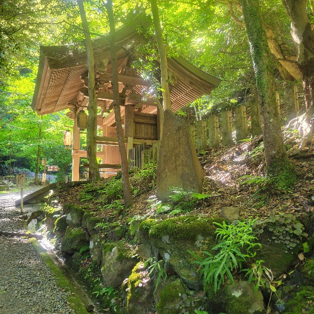 f:id:atoriatoriatori:20240903181016j:image