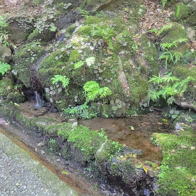 f:id:atoriatoriatori:20240903181030j:image