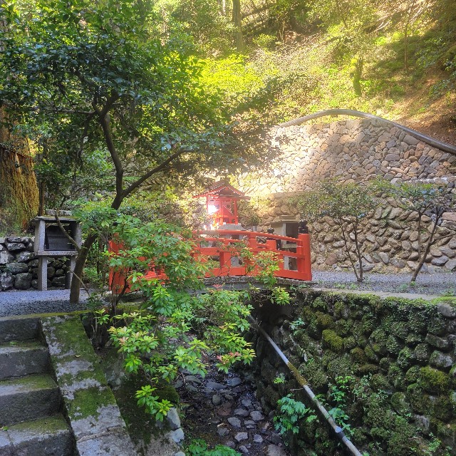 f:id:atoriatoriatori:20240903210135j:image