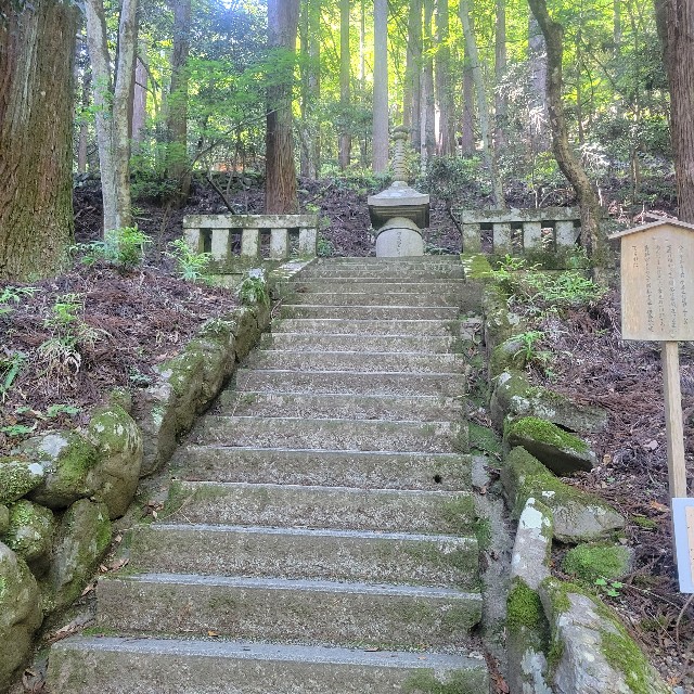 f:id:atoriatoriatori:20240903210524j:image