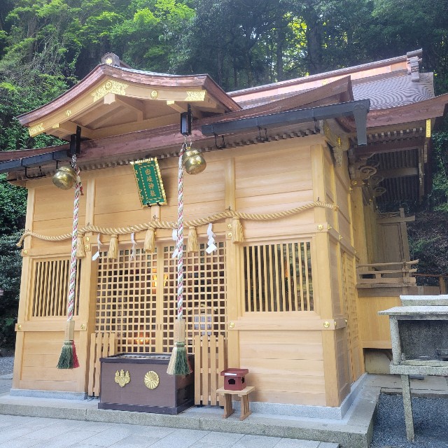 f:id:atoriatoriatori:20240903210531j:image