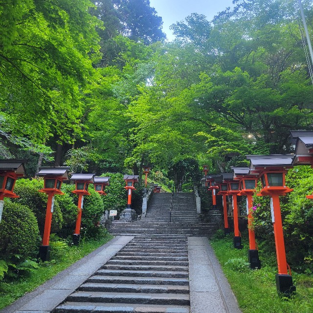f:id:atoriatoriatori:20240904102524j:image