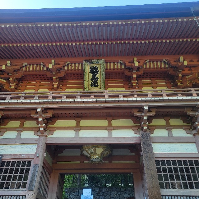 f:id:atoriatoriatori:20240904102840j:image