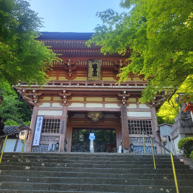 f:id:atoriatoriatori:20240904102848j:image