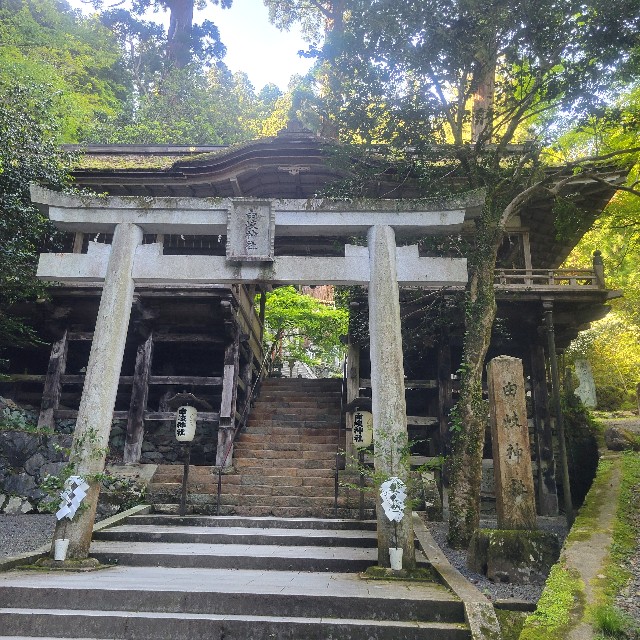 f:id:atoriatoriatori:20240904103733j:image