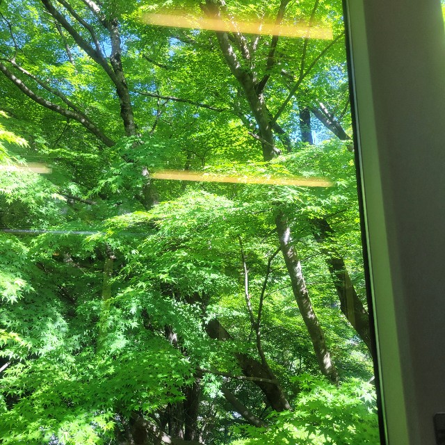 f:id:atoriatoriatori:20240904104152j:image