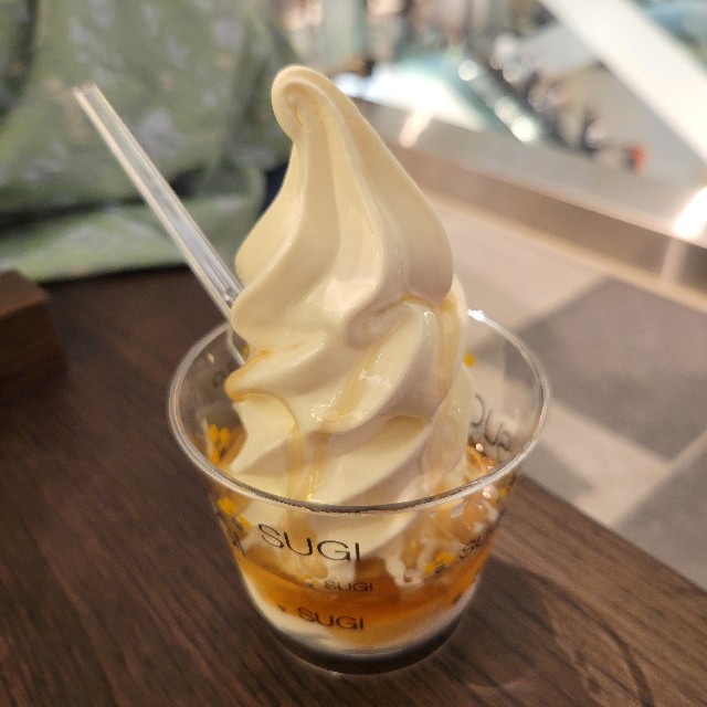 f:id:atoriatoriatori:20240909102012j:image