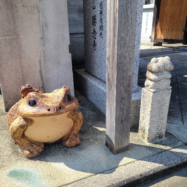 f:id:atoriatoriatori:20240910084927j:image