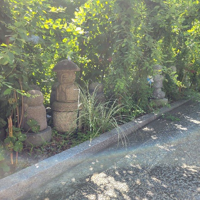 f:id:atoriatoriatori:20240910085700j:image