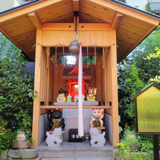 f:id:atoriatoriatori:20240911081709j:image