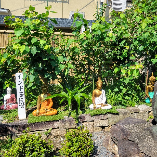 f:id:atoriatoriatori:20240911093736j:image