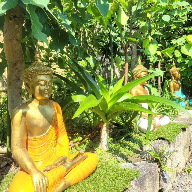 f:id:atoriatoriatori:20240911093746j:image