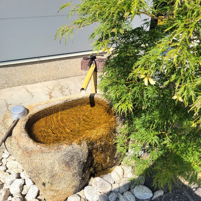 f:id:atoriatoriatori:20240911154224j:image