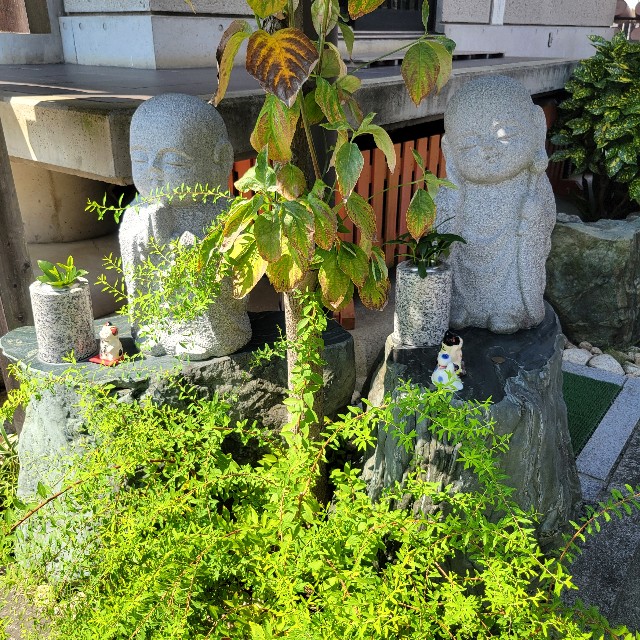 f:id:atoriatoriatori:20240911155434j:image