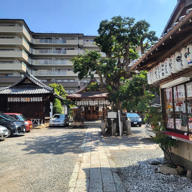 f:id:atoriatoriatori:20240912130750j:image