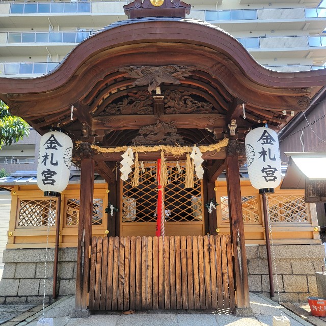 f:id:atoriatoriatori:20240912151343j:image