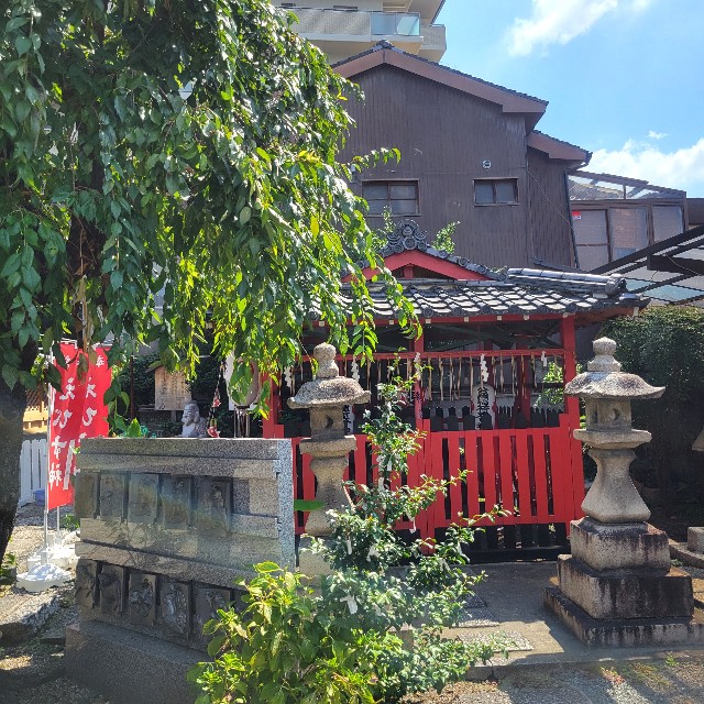 f:id:atoriatoriatori:20240912162739j:image