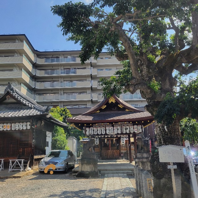 f:id:atoriatoriatori:20240912163714j:image