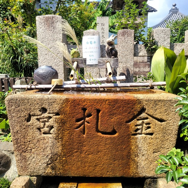 f:id:atoriatoriatori:20240912175020j:image