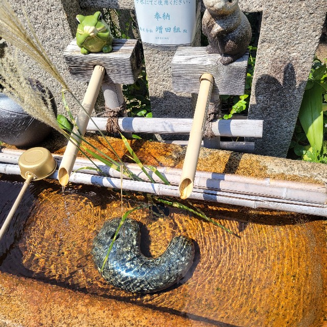 f:id:atoriatoriatori:20240912175029j:image