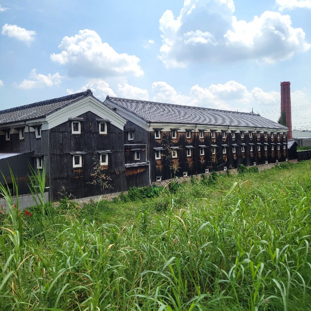 f:id:atoriatoriatori:20240916095211j:image