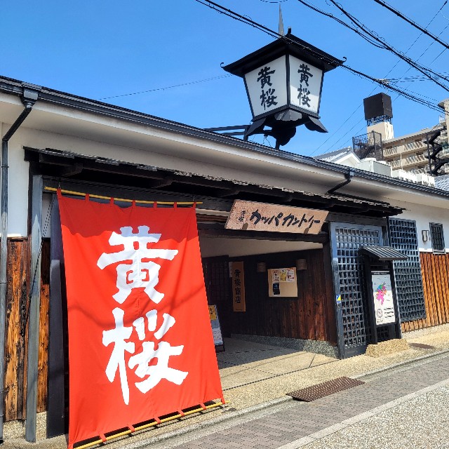 f:id:atoriatoriatori:20240918203418j:image