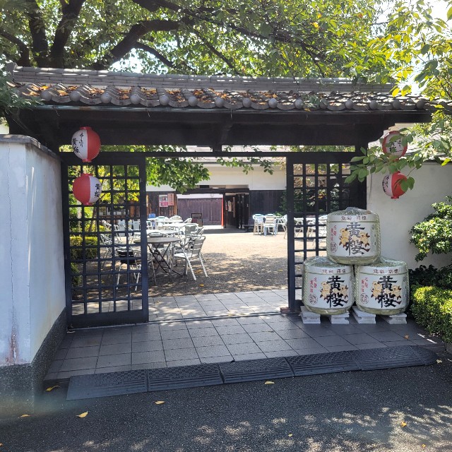 f:id:atoriatoriatori:20240919092020j:image