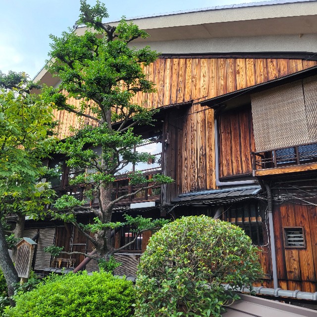 f:id:atoriatoriatori:20240920134806j:image